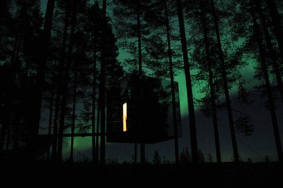 Treehotel Harads Exteriér fotografie