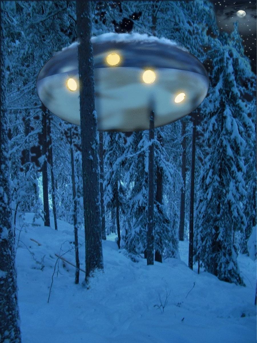 Treehotel Harads Exteriér fotografie