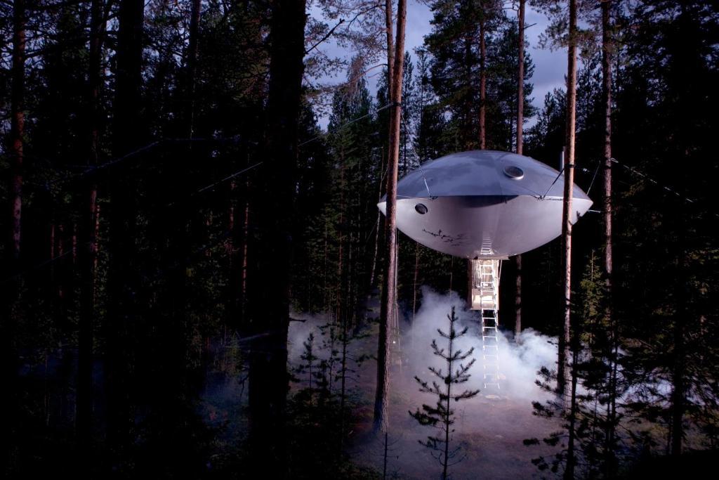 Treehotel Harads Pokoj fotografie