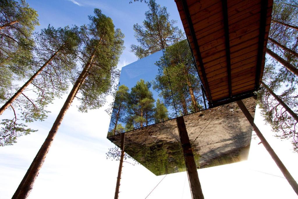 Treehotel Harads Pokoj fotografie