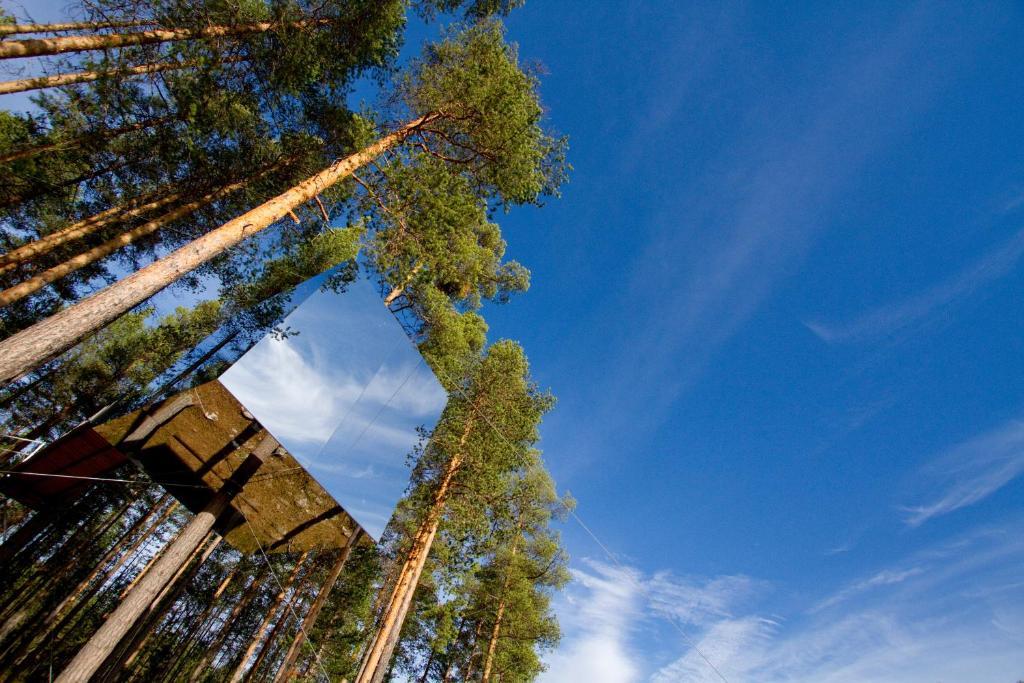 Treehotel Harads Pokoj fotografie