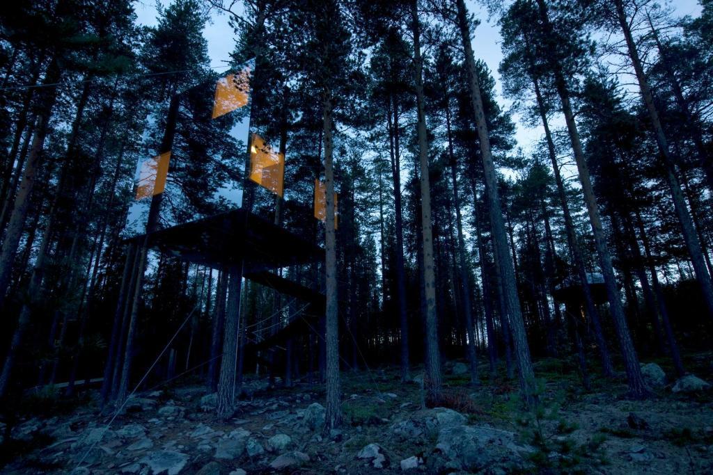 Treehotel Harads Pokoj fotografie
