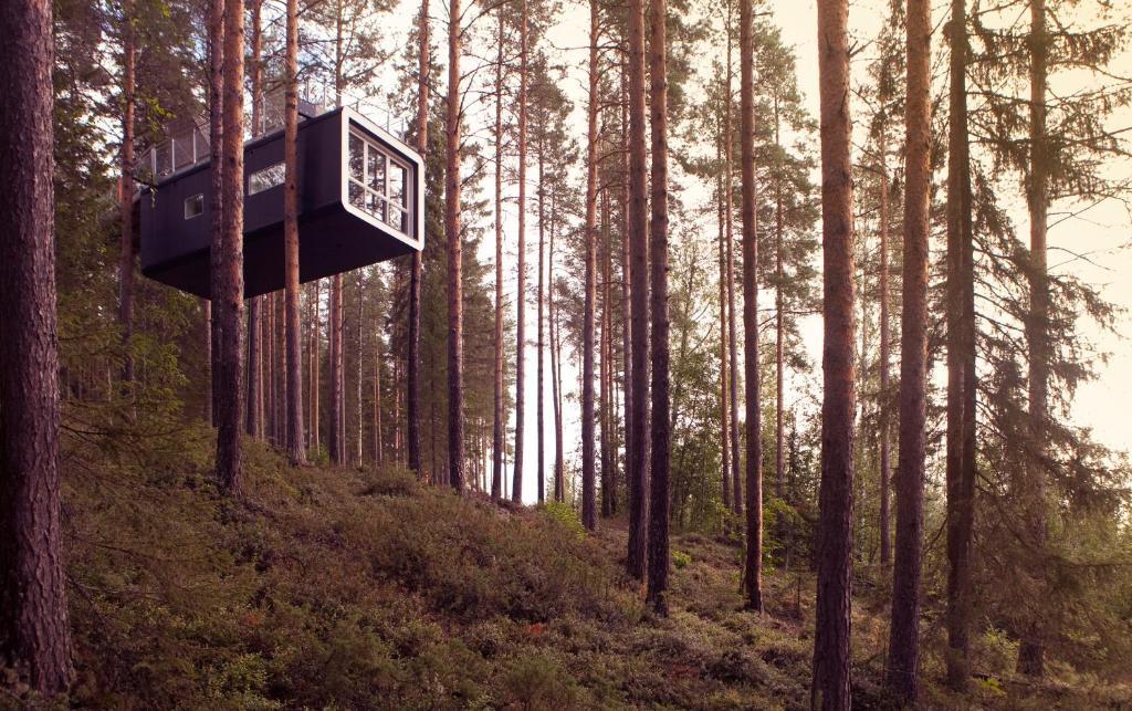 Treehotel Harads Pokoj fotografie