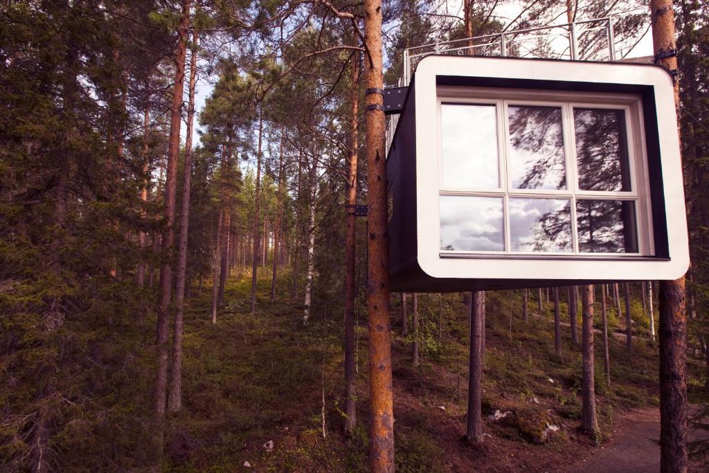 Treehotel Harads Pokoj fotografie