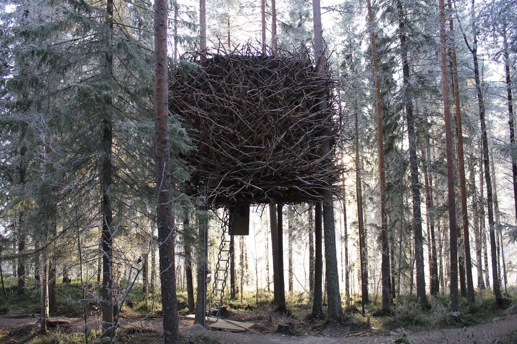 Treehotel Harads Exteriér fotografie